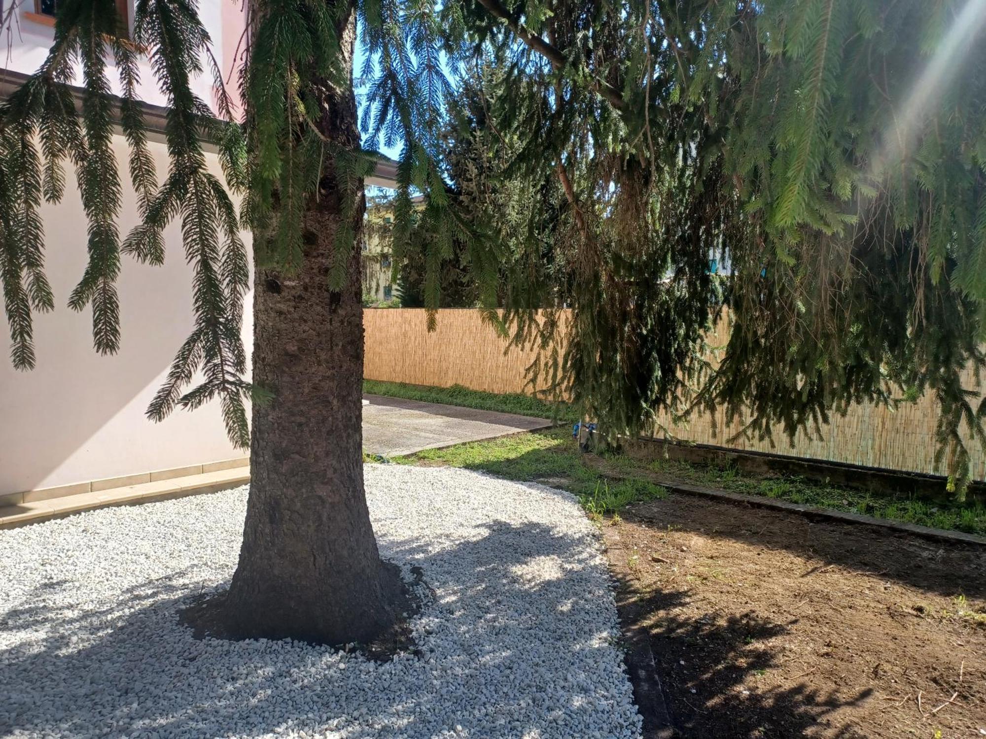 Villa La Favola A Rovescio Camaiore Esterno foto